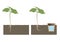 Hydrotropism s a plant`s growth response in which the direction of growth is determined by a stimulus or gradient in water concent