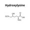 Hydroxylysine is an amino acid. Chemical molecular formula Hydroxylysine amino acid. Vector illustration on isolated