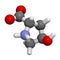 Hydroxyproline (Hyp) collagen building block, molecular model