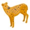 Hyena animal icon isometric vector. Wild baby