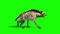 Hyena Animals Walkcycle Side Green Screen 3D Rendering Animation
