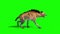 Hyena Maculata Animals Walkcycle Side Green Screen 3D Rendering Animation