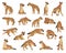 Hyenas as Carnivore Mammal with Spotted Coat and Rounded Ears Big Vector Set