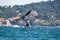 Hyeres, Almanarre beach, France, July 10, 2021. Extreem water sport - wing foil, kite surfing, wind surfindg, windy day on