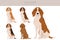 Hygen hound clipart. Different poses, coat colors set