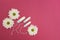 Hygienic tampons on a pink background with flowers