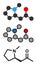 Hygrine coca alkaloid molecule