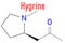 Hygrine coca alkaloid molecule. Skeletal formula. Chemical structure