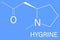 Hygrine coca alkaloid molecule. Skeletal formula. Chemical structure