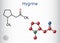 Hygrine pyrrolidine alkaloid molecule. It is found in the coca plant. Structural chemical formula and molecule model. Sheet of