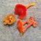 Hygrocybe miniata mushroom