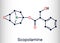 Hyoscine, scopolamine. L-Scopolamine molecule. It is natural plant alkaloid, psychoactive, anticholinergic, antimuscarinic drug.