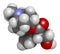 Hyoscyamine alkaloid molecule. Herbal sources include henbane, mandrake, jimsonweed, deadly nightshade and tomato. 3D rendering.