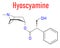 Hyoscyamine alkaloid molecule. Skeletal formula. Chemical structure