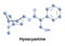 Hyoscyamine is a tropane alkaloid