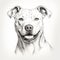 Hyper-detailed Illustration Of A Joyful Pit Bull Dog
