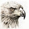 Hyper-detailed Illustration Of A Wedge-tailed Eagle On White Background