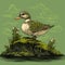 Hyper-detailed Romantic Illustration Of A Duck Standing On Moss