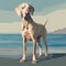 Hyper-detailed Vector Illustration Of A Weimaraner Dog On Beach