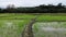 Hyper lapse video sequence with subjective camera walking in green paddy field in Asia, tropical thai countryside time lapse