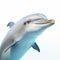 Hyper-realistic 3d Dolphin Model With Humorous Facial Expression