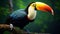 Hyper-realistic 3d Toucan: A Captivating Display Of Nature\\\'s Beauty