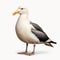 Hyper-realistic Animal Illustrations: 3d Graphic Seabird Stock Photography