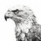 Hyper-realistic Black And White Bald Eagle Illustration