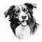 Hyper-realistic Border Collie Drawing On White Background