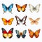 Hyper-realistic Butterfly Illustrations: 10 Different Types On White Background