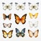 Hyper-realistic Butterfly Illustrations On White Background