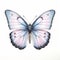 Hyper-realistic Chalkhill Blue Butterfly Illustration On White Background