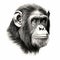 Hyper-realistic Chimp Head Drawing With Precise Detailing