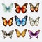 Hyper-realistic Collection Of Colorful Butterflies On Transparent Background