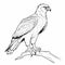 Hyper-realistic Eagle Coloring Page With Osprey Outline For Children