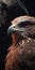 Hyper-realistic Eagle Portrait On Night Sky With Moon