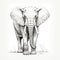 Hyper-realistic Elephant Illustration With Detailed Pencil Drawing