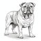 Hyper-realistic English Bulldog Art Drawing On White Background