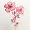 Hyper-realistic Geranium Drawing: Detailed Character Illustrations And Paper Sculptures