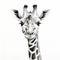 Hyper-realistic Giraffe Face Drawing With Bold Defined Lines