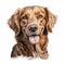 Hyper-realistic Golden Retriever Dog Head Illustration For Art Museum