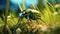 Hyper-realistic Green Beetle On Grass: Detailed Illustration In Impressionistic Colors