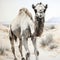 Hyper-realistic Grisaille Camel Illustration With A Satirical Twist