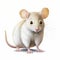 Hyper-realistic Illustration Of Cute White Mouse On White Background