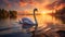 Hyper-realistic Illustration Of A Graceful White Swan Swimming At Sunset