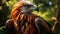 Hyper-realistic Illustration Of A Red Feathered Eagle In Brazilian Zoo