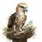 Hyper-realistic Illustration Of A Young Female Osprey In Beatrix Potter Style