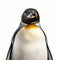 Hyper-realistic King Penguin 3d Model On White Background
