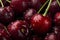 Hyper-realistic macro photo of luscious cherries