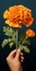 Hyper Realistic Marigold: Photorealistic Flower Painting With High Contrast
